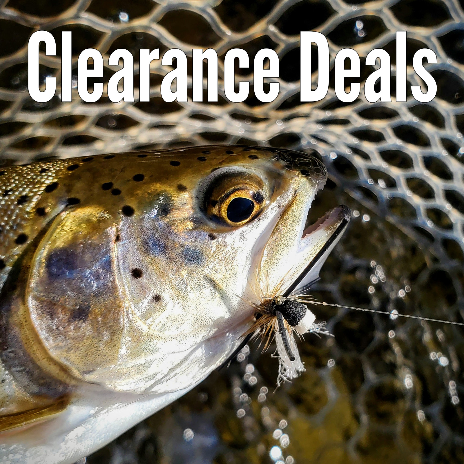 Clearance Deals - Clearance Category AvidMax